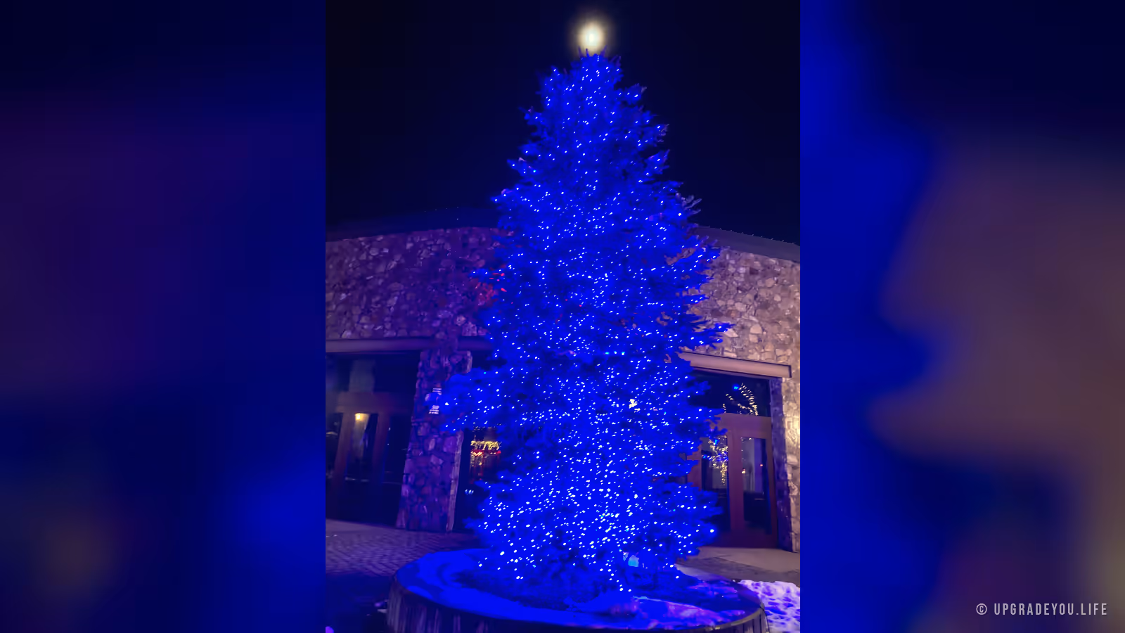 Un árbol de Navidad azul brillante debajo de una luna brillante por la noche