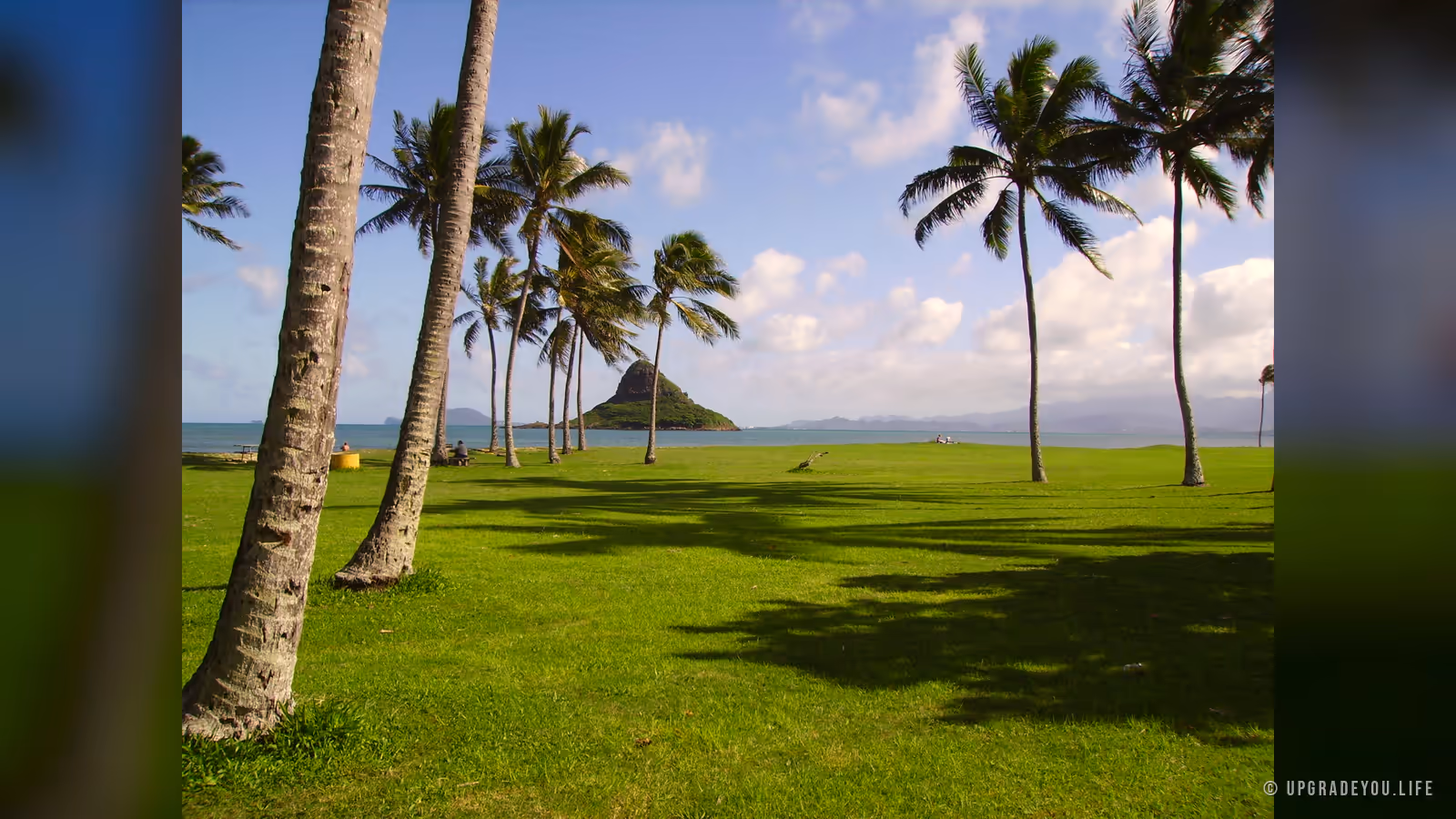 Tall coconut palms leaning over a bright green lawn beside a calm blue Hawaiian bay