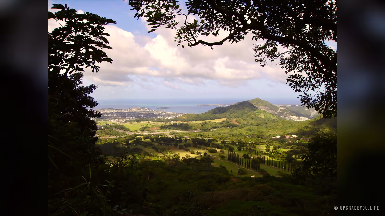 A lush green Oahu valley framed by trees, opening to the ocean