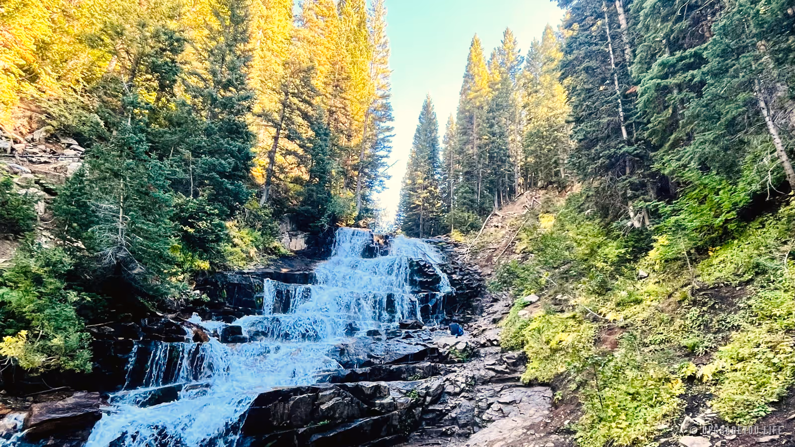 A powerful waterfall falling through dark forest rock