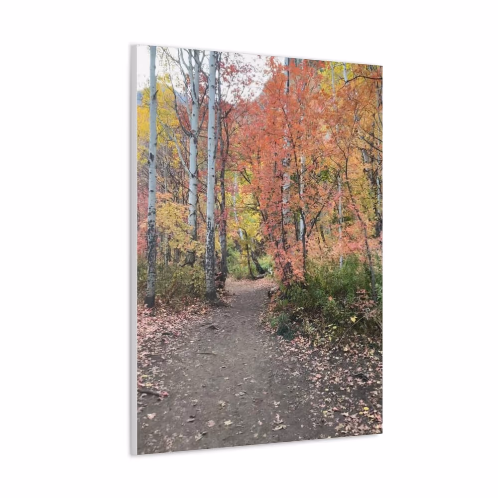 Autumn Aspen Trail Canvas Gallery Wraps, Landscape Photography, Home Wall Living Room Office Decor canvas wall art by Jess LeFevre