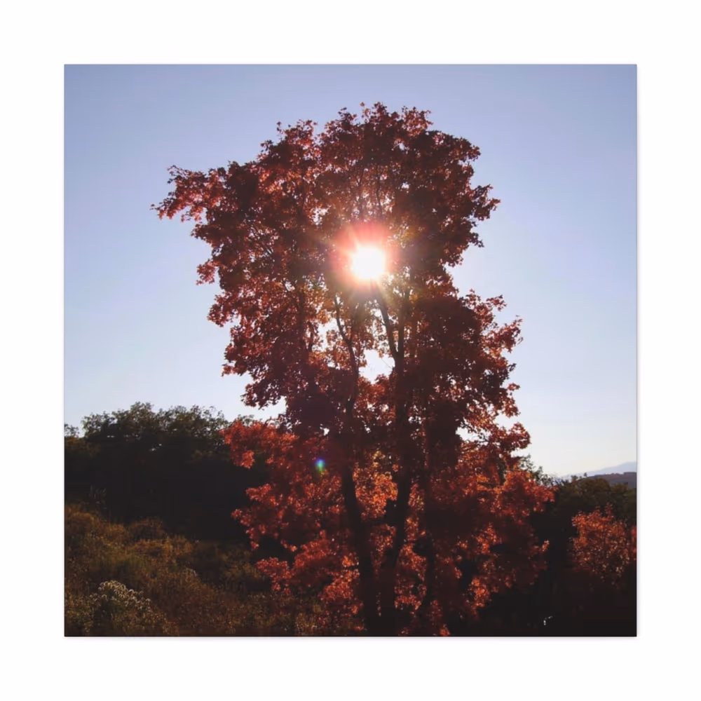 Heart Warming Red Fall Leaves Custom canvas wall art by Jess LeFevre