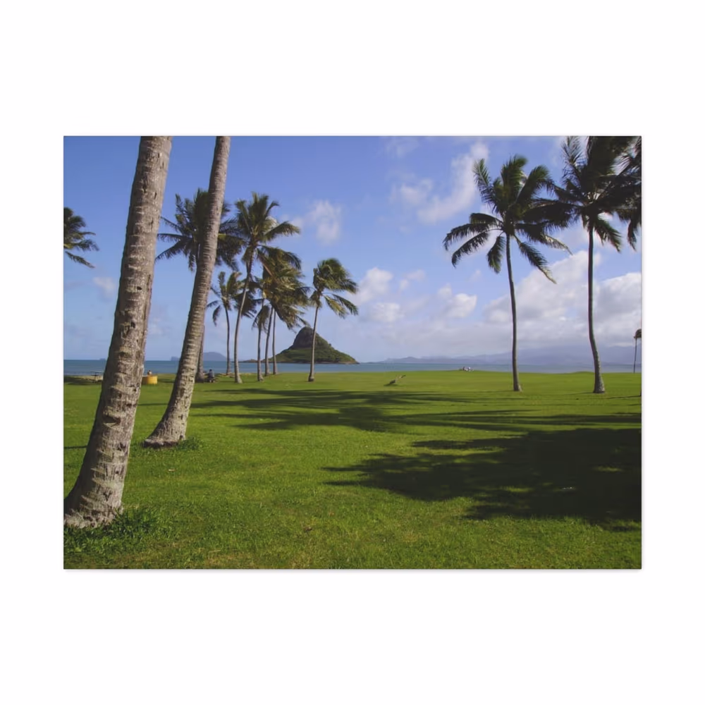 Hawaiian Beach Canvas Print, Tropical Palm Trees, Island Landscape Photography canvas wall art by Jess LeFevre