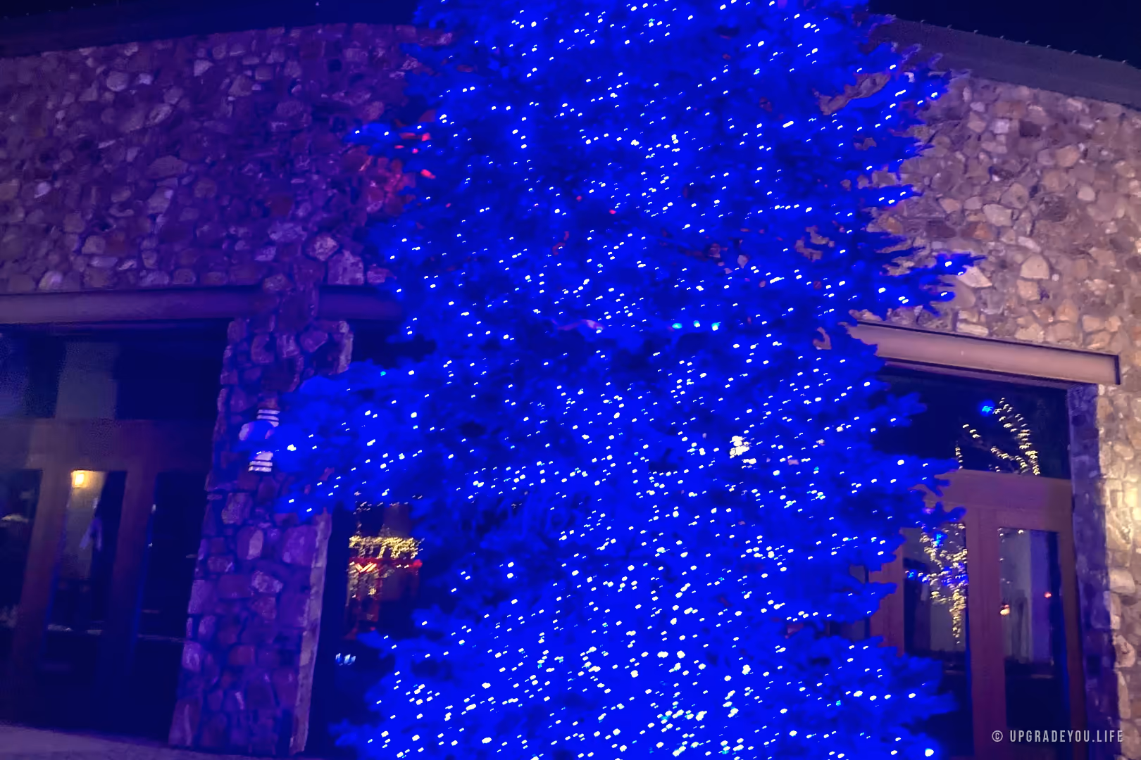 En lysande blå julgran under en klar måne på natten