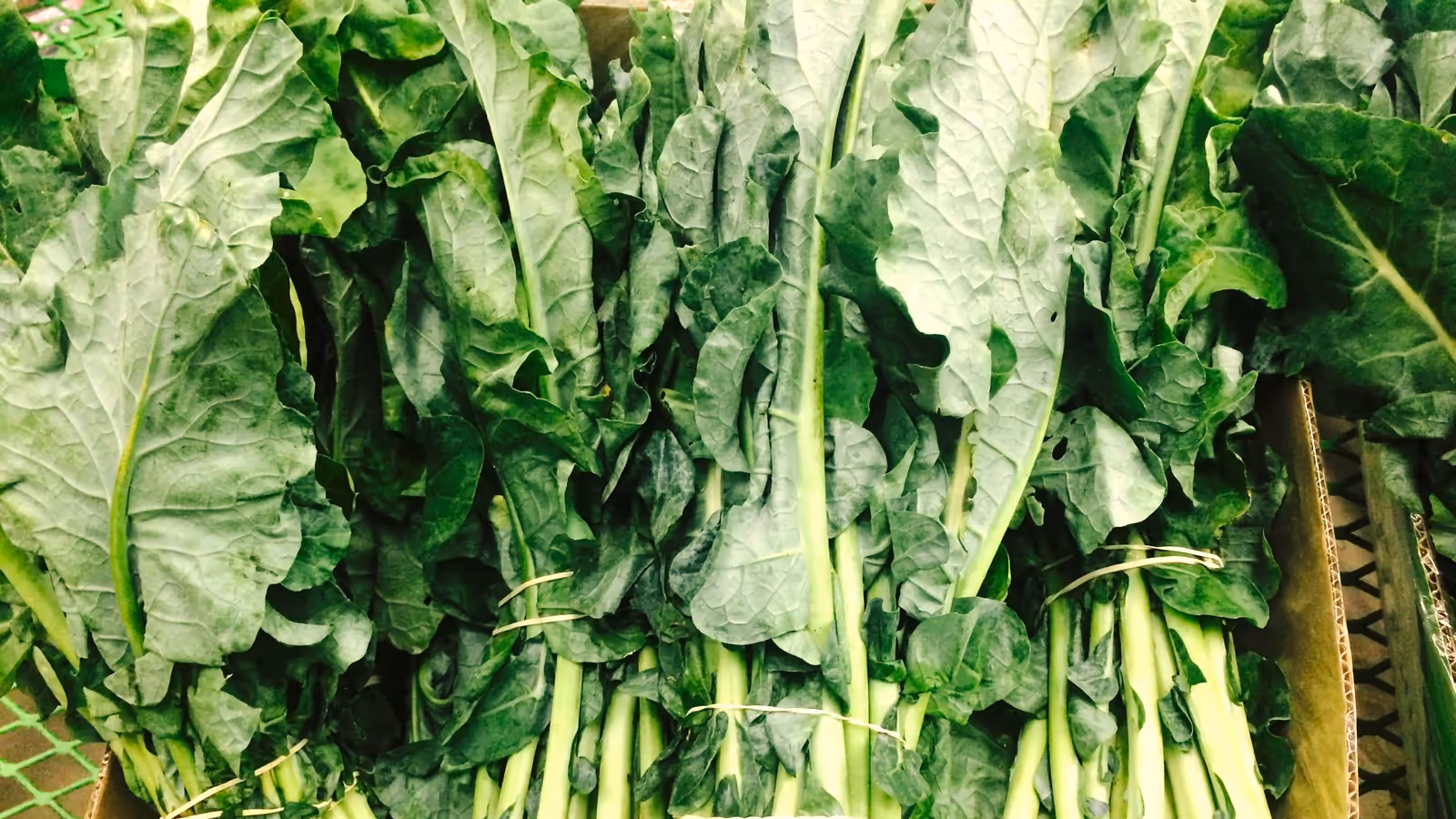 Fresh bunches of leafy green vegetables