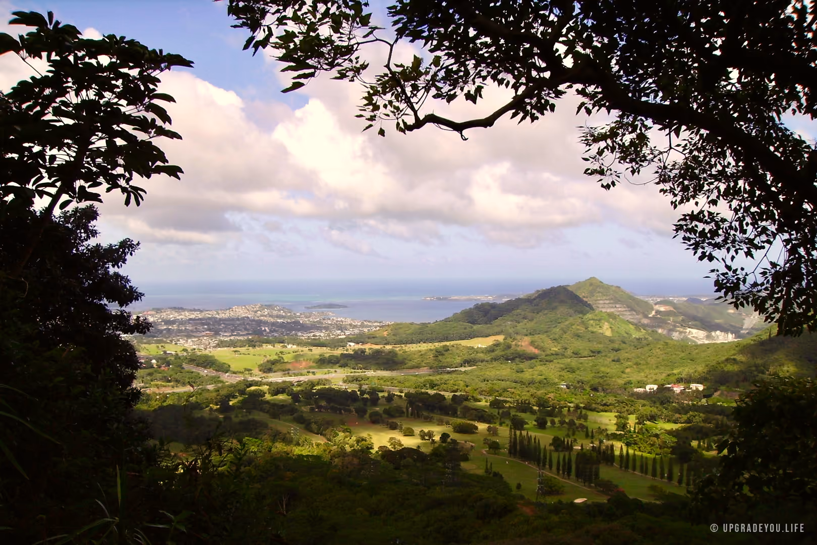 En frodig grön dal på Oahu inramad av träd, som öppnar sig mot havet